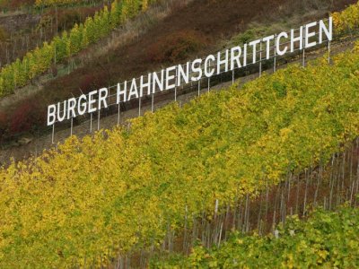Mosel Tal