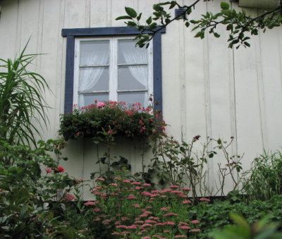 Allotment garden III