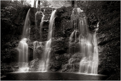 Glenariff Forest Park