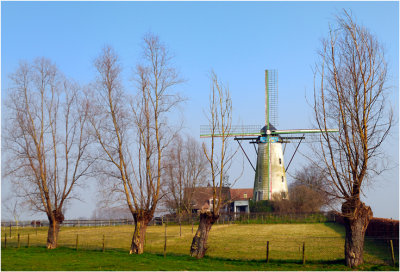 Windmill in Lovendegem - Vinderhoute
