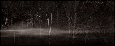 Where the light meets the night