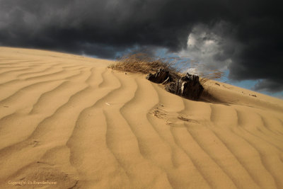 Waving sand - Golvend zand
