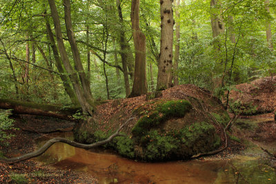 Red brook - Rode sprengenbeek