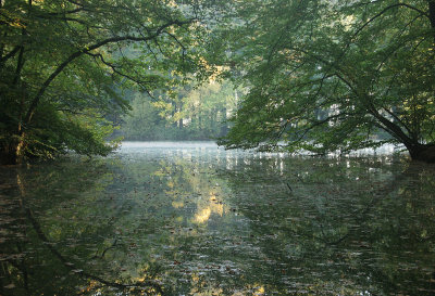 Pond early autumn