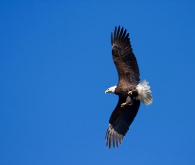 IMG_3933.jpg