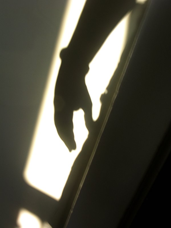 Shadow