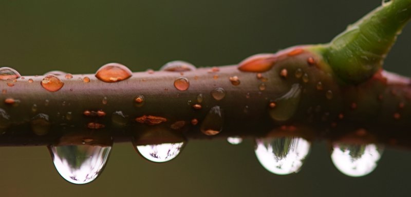 Droplets
