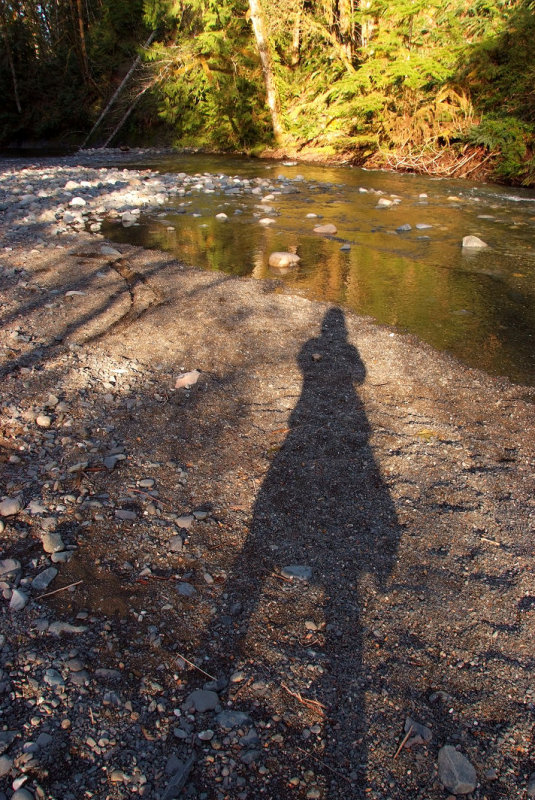 A Girl and Her Shadow