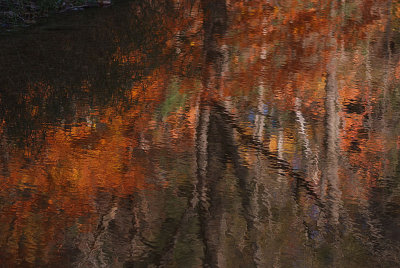 Reflections