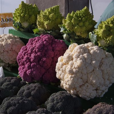 March Jean-Talon