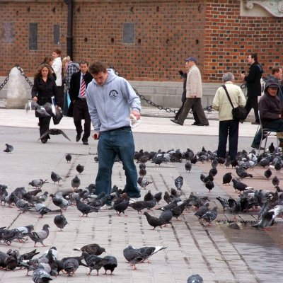 Dancin' with the birds