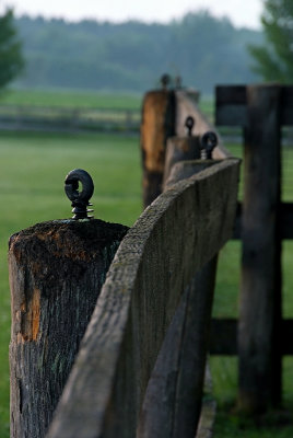 g1/00/779300/3/126850262.S6bPhqpI.jpg