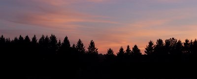 g1/00/779300/3/126850263.rCAGAxFD.jpg