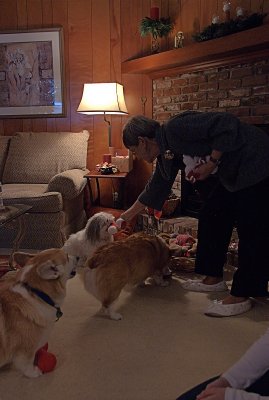 Puppies get presents too!