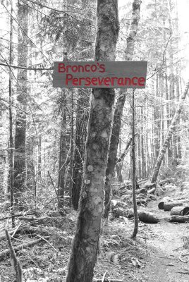 Bronco's Perseverance