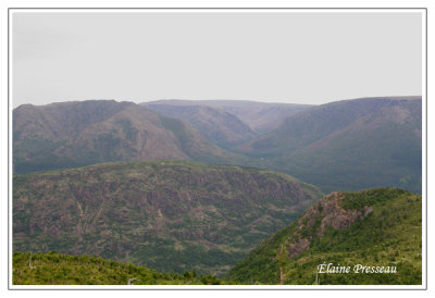 Parc de la Gaspsie