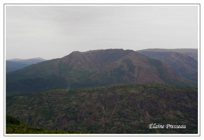 Parc de la Gaspésie