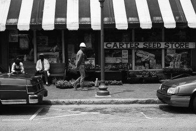 Carter Seed Store - Memphis, TN