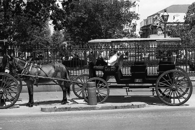 Horse & Carraige - New Orleans, LA