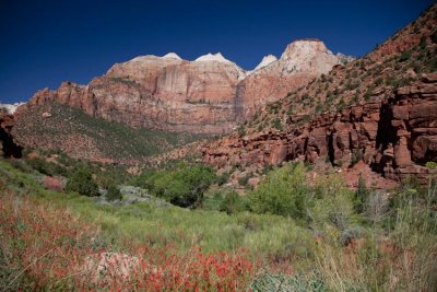 Zion National Park, Utah