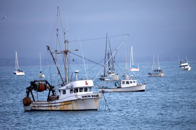 San Luis Bay