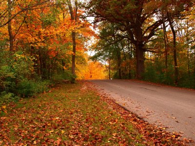 Central Iowa Fall Colors