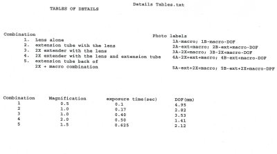 Setup and Results Tables