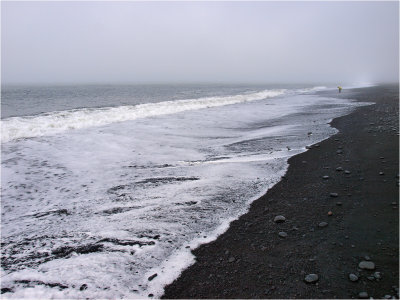 Foggy shores