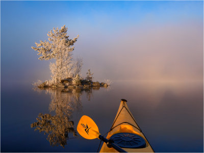 Into the unknown