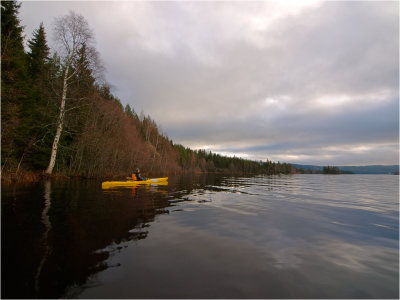 Nra shoreline
