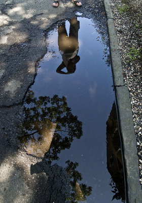 Puddle View