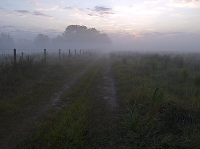 Walking the Path