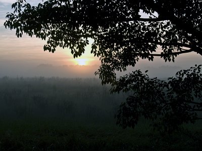 Framed Sunrise