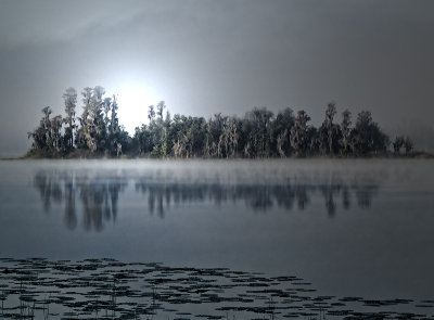 Misty Morn