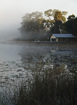 Dock in the Morning