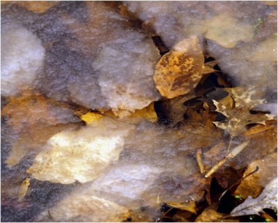 In the Slush