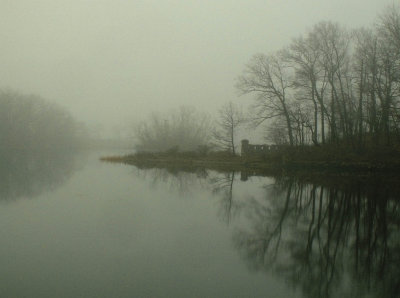 Misty Morn
