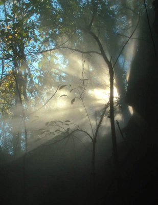Misty rays ll