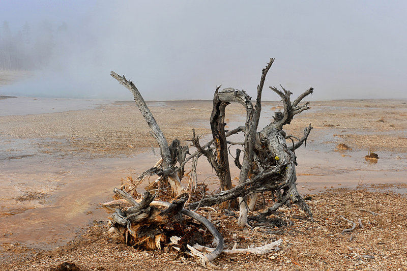 Yellowstone_25.jpg