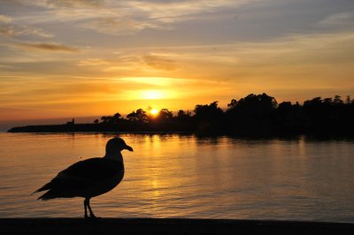 39_Sunset solitude.jpg