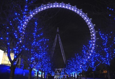 36_London Eye by night.jpg