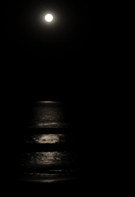 Moon Set Torrey Pines.jpg