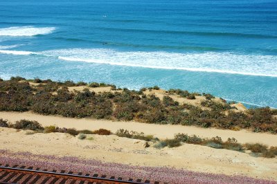 Torrey Pines surfers.JPG