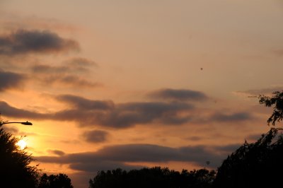 PQ 091108.JPG