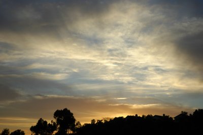 Backyard 112005.JPG