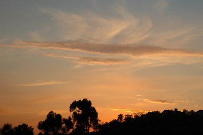 Backyard 122106.JPG