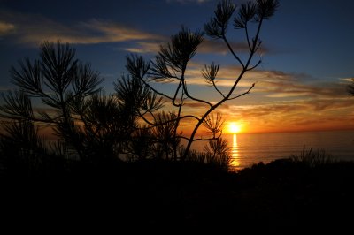 Torrey Pines 101508.jpg