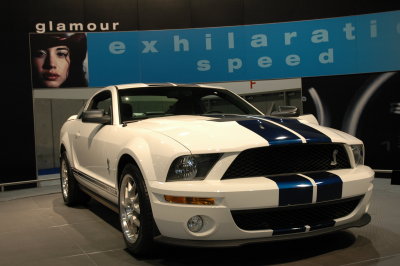 Auto Show SD 07.JPG