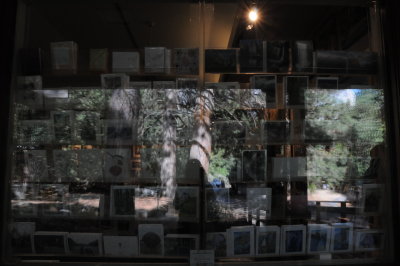 Ansel Adams Gallery window.JPG