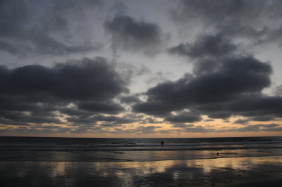 Torrey Pines.JPG
